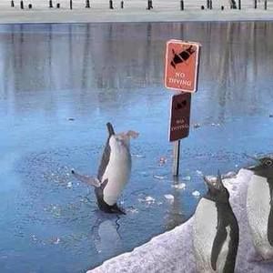 Meet your Posher, Jeff